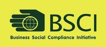 BSCI審核后需要提交英文CAP(改進(jìn)計劃)怎么辦?誰可以代寫英文CAP?